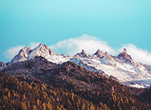 世界杯app下载-【欧洲杯】德布劳内替补传射 比利时2比1逆转丹麦