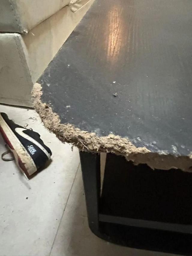 世界杯app下载-女租户失联，房屋散发恶臭被严重损坏，昆明房东报警：损失预估2万以上，她曾自称刚毕业，手头紧；物业：屋内狗彻夜狂叫，邻居曾报警